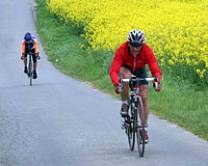 cyclo1.jpg