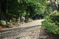 urfa_mtdesflandres08_073.jpg
